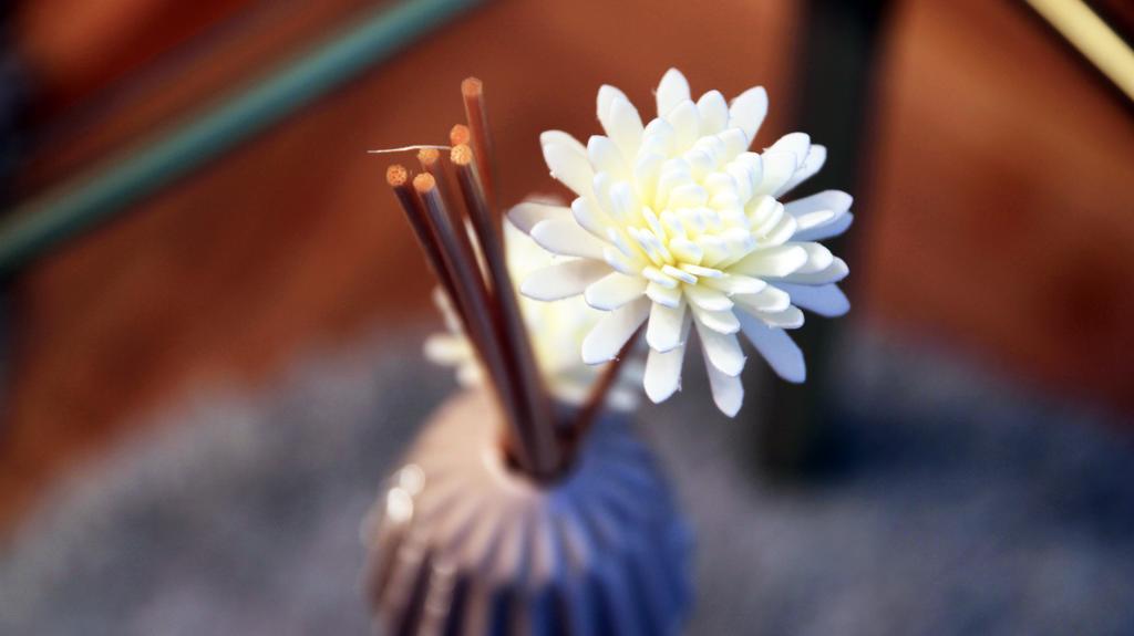 Linden Flower Apartment سوبوتيتْسا المظهر الخارجي الصورة